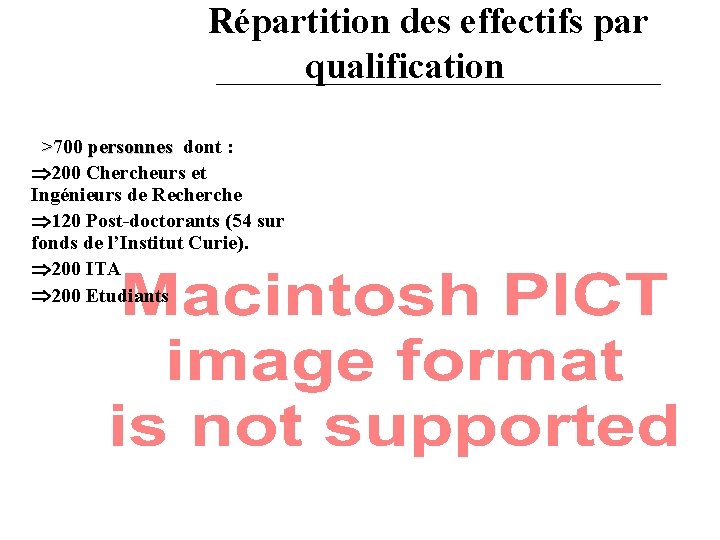 Répartition des effectifs par qualification >700 personnes dont : 200 Chercheurs et Ingénieurs de