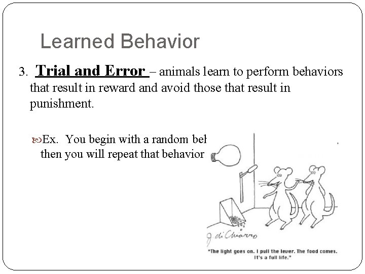 Learned Behavior 3. Trial and Error – animals learn to perform behaviors that result