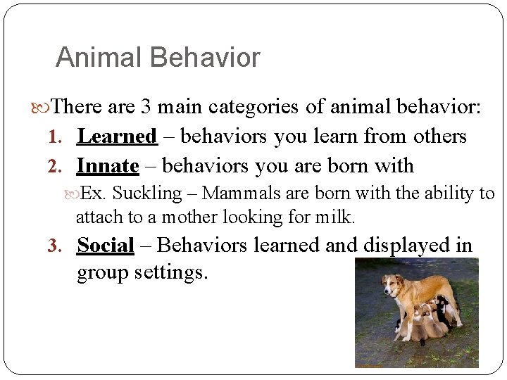 Animal Behavior There are 3 main categories of animal behavior: 1. Learned – behaviors