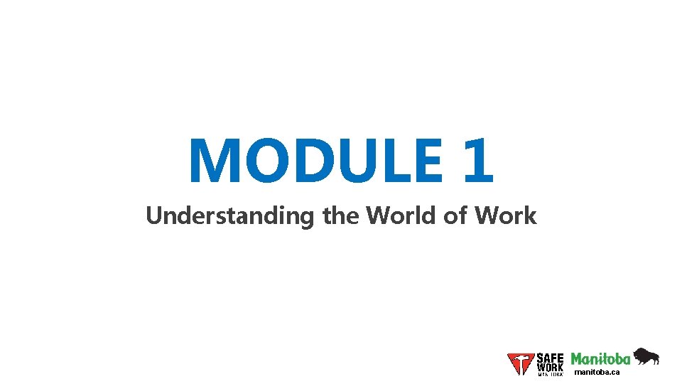MODULE 1 Understanding the World of Work manitoba. ca 
