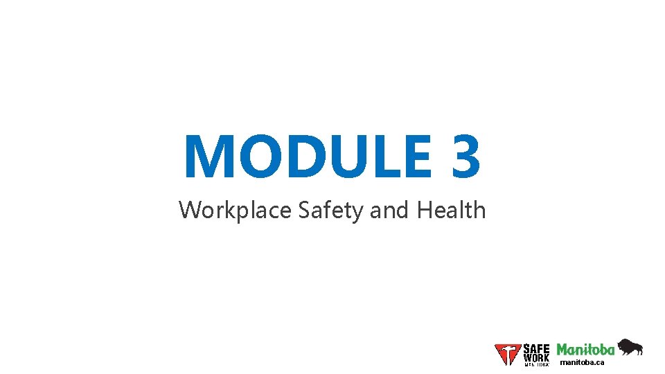 MODULE 3 Workplace Safety and Health manitoba. ca 