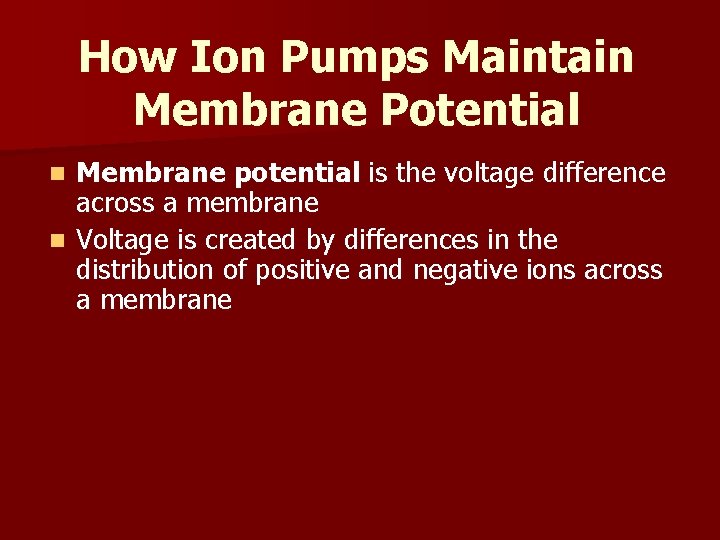 How Ion Pumps Maintain Membrane Potential Membrane potential is the voltage difference across a