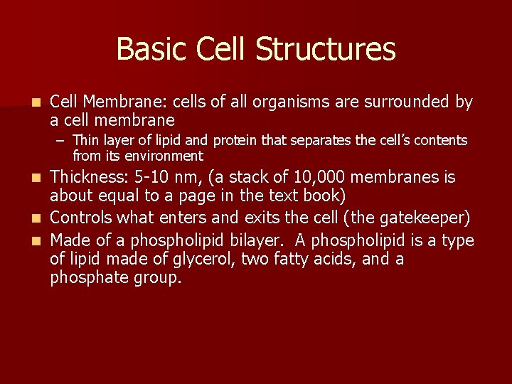 Basic Cell Structures n Cell Membrane: cells of all organisms are surrounded by a