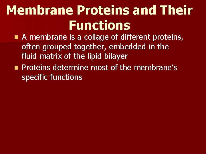 Membrane Proteins and Their Functions A membrane is a collage of different proteins, often