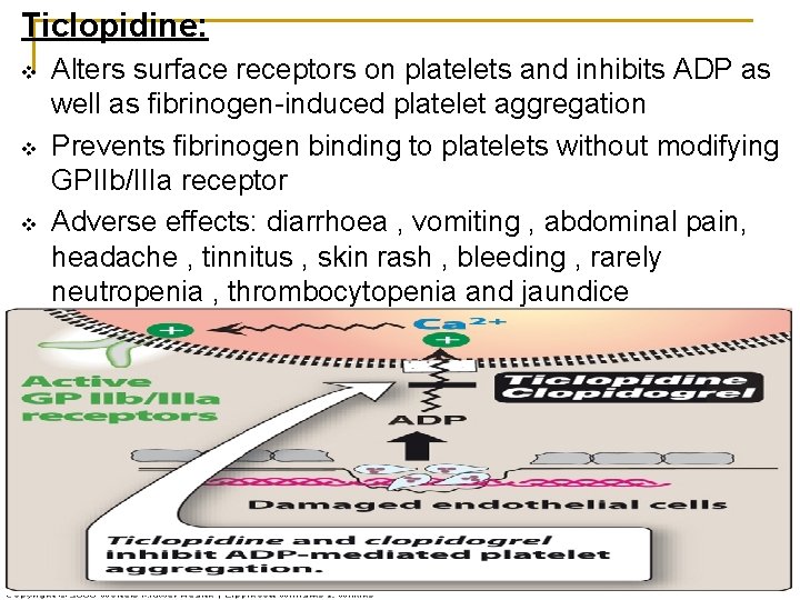 Ticlopidine: v v v Alters surface receptors on platelets and inhibits ADP as well