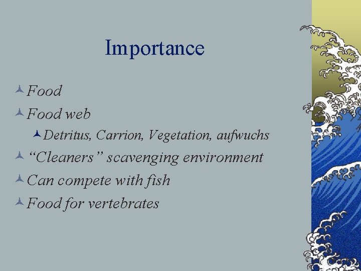 Importance ©Food web ©Detritus, Carrion, Vegetation, aufwuchs ©“Cleaners” scavenging environment ©Can compete with fish