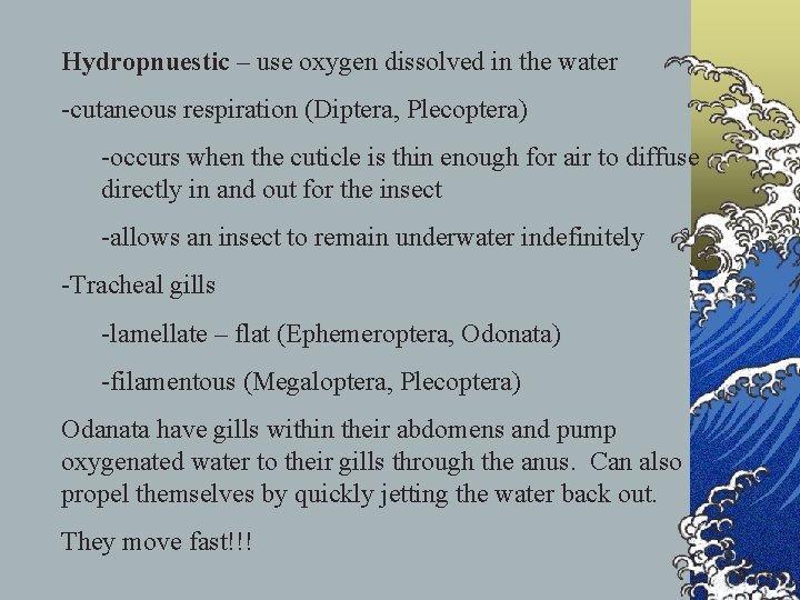 Hydropnuestic – use oxygen dissolved in the water -cutaneous respiration (Diptera, Plecoptera) -occurs when