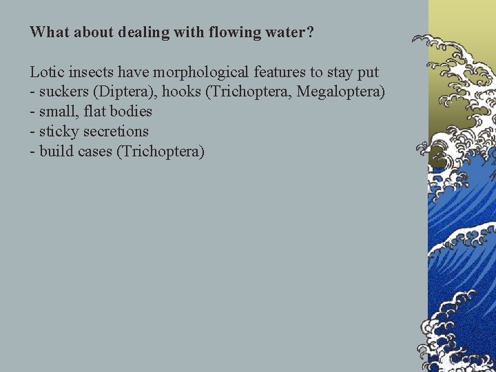 What about dealing with flowing water? Lotic insects have morphological features to stay put
