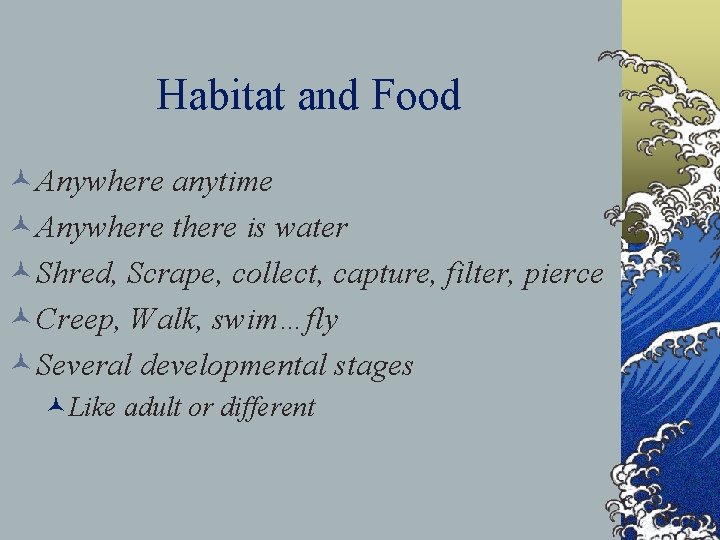 Habitat and Food ©Anywhere anytime ©Anywhere there is water ©Shred, Scrape, collect, capture, filter,