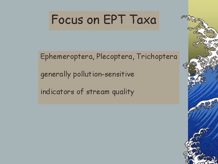 Focus on EPT Taxa Ephemeroptera, Plecoptera, Trichoptera generally pollution-sensitive indicators of stream quality 