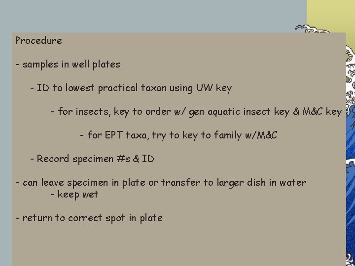 Procedure - samples in well plates - ID to lowest practical taxon using UW