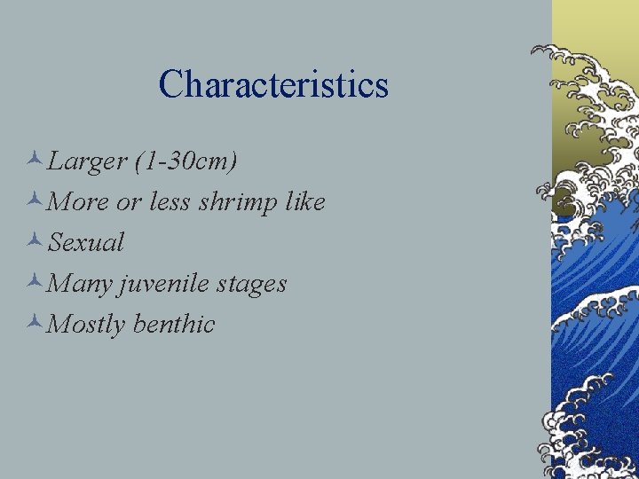 Characteristics ©Larger (1 -30 cm) ©More or less shrimp like ©Sexual ©Many juvenile stages