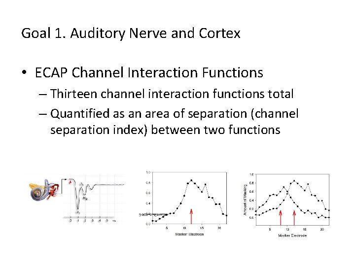 Goal 1. Auditory Nerve and Cortex • ECAP Channel Interaction Functions – Thirteen channel