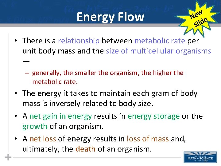 Energy Flow w e N e Slid • There is a relationship between metabolic