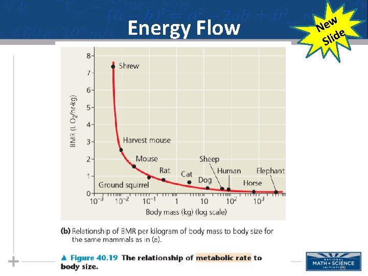 Energy Flow w e N e Slid 23 
