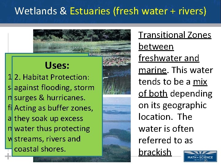 Wetlands & Estuaries (fresh water + rivers) Uses: 1. 2. Habitat filtration: Habitat Protection: