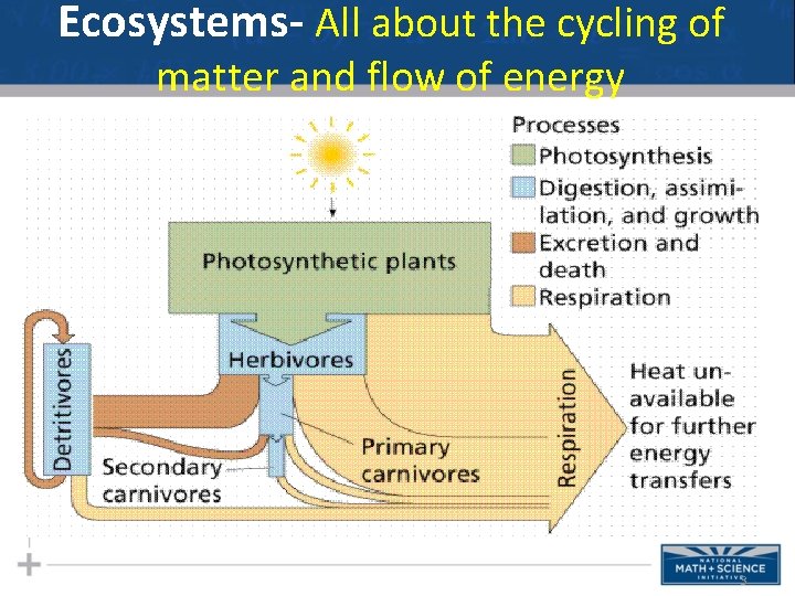 Ecosystems- All about the cycling of matter and flow of energy 3 