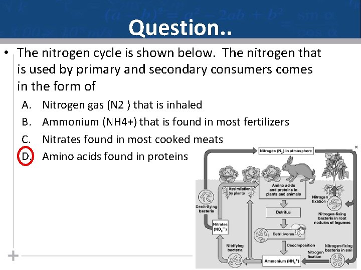Question. . • The nitrogen cycle is shown below. The nitrogen that is used