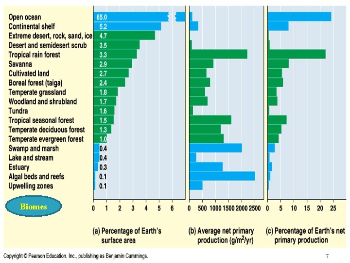 Primary Production Biomes 7 