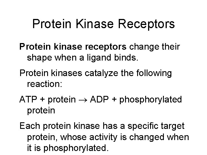Protein Kinase Receptors Protein kinase receptors change their shape when a ligand binds. Protein
