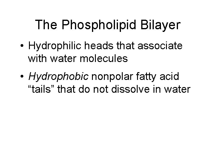 The Phospholipid Bilayer • Hydrophilic heads that associate with water molecules • Hydrophobic nonpolar