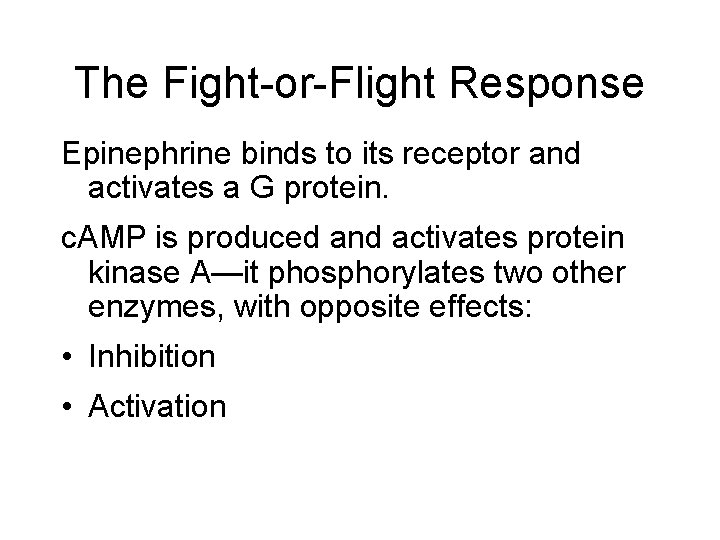 The Fight-or-Flight Response Epinephrine binds to its receptor and activates a G protein. c.