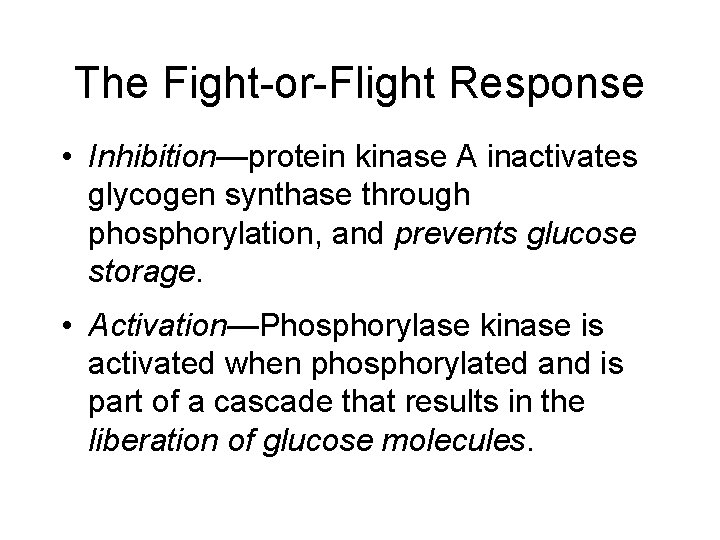 The Fight-or-Flight Response • Inhibition—protein kinase A inactivates glycogen synthase through phosphorylation, and prevents