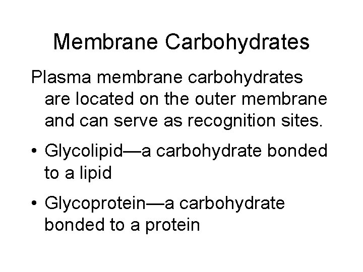 Membrane Carbohydrates Plasma membrane carbohydrates are located on the outer membrane and can serve