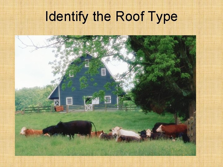 Identify the Roof Type 