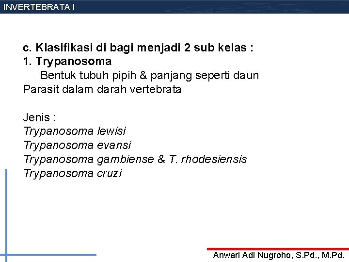 INVERTEBRATA I c. Klasifikasi di bagi menjadi 2 sub kelas : 1. Trypanosoma Bentuk