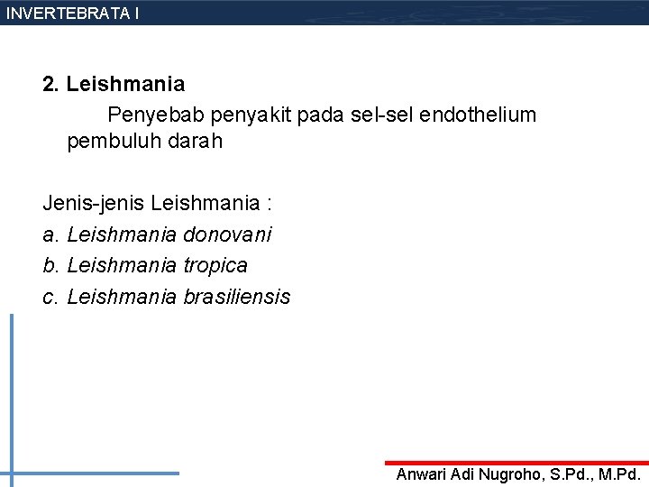 INVERTEBRATA I 2. Leishmania Penyebab penyakit pada sel-sel endothelium pembuluh darah Jenis-jenis Leishmania :