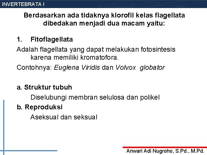 INVERTEBRATA I Berdasarkan ada tidaknya klorofil kelas flagellata dibedakan menjadi dua macam yaitu: 1.