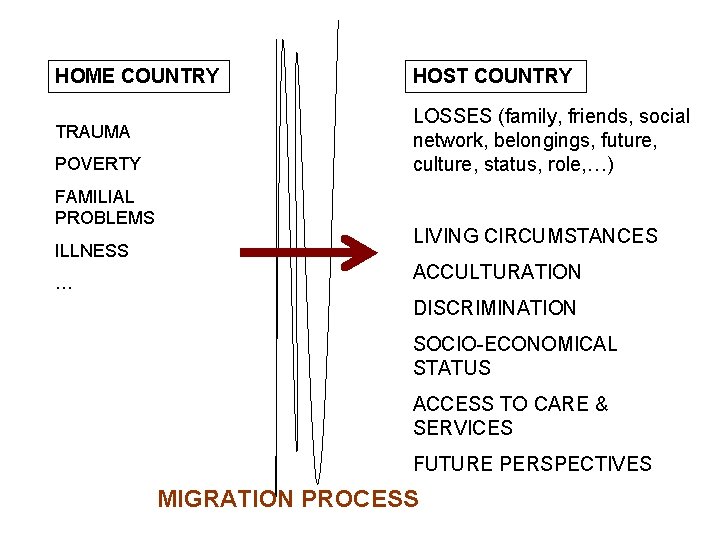 HOME COUNTRY HOST COUNTRY TRAUMA LOSSES (family, friends, social network, belongings, future, culture, status,