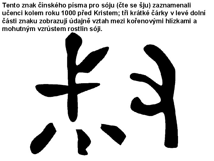 Tento znak čínského písma pro sóju (čte se šju) zaznamenali učenci kolem roku 1000