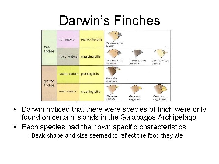 Evolution WJEC Biology Module 1 Learning outcomes know