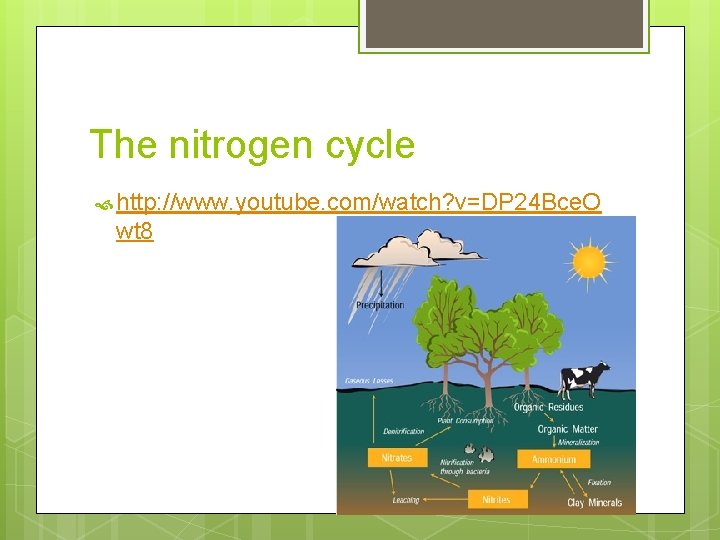 The nitrogen cycle http: //www. youtube. com/watch? v=DP 24 Bce. O wt 8 