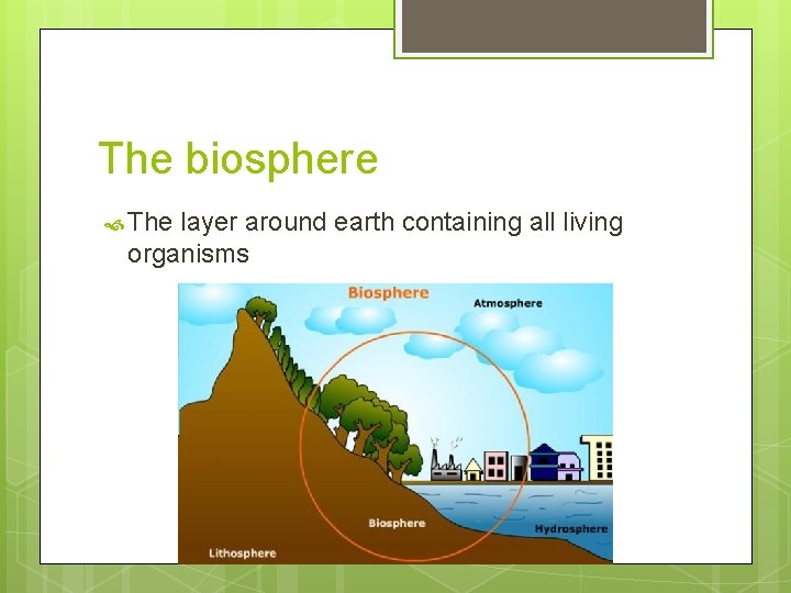 The biosphere The layer around earth containing all living organisms 