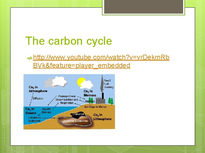 The carbon cycle http: //www. youtube. com/watch? v=vr. Dekm. Rb BVk&feature=player_embedded 