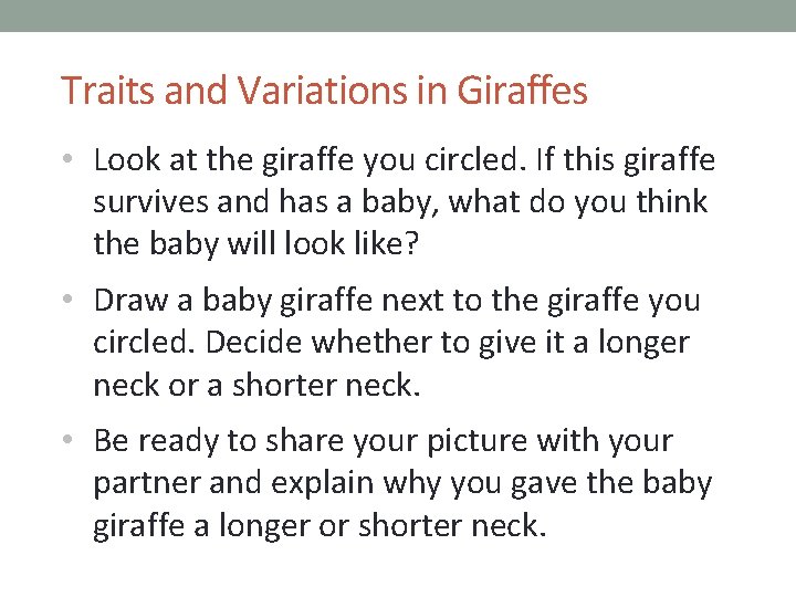 Traits and Variations in Giraffes • Look at the giraffe you circled. If this