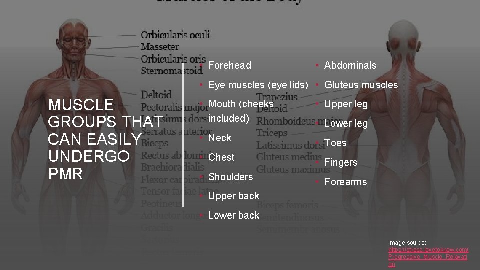 • Forehead • Abdominals • Eye muscles (eye lids) • Gluteus muscles MUSCLE • Forehead • Abdominals • Eye muscles (eye lids) • Gluteus muscles MUSCLE