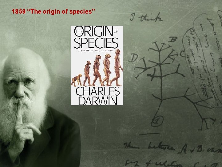 1859 “The origin of species” 