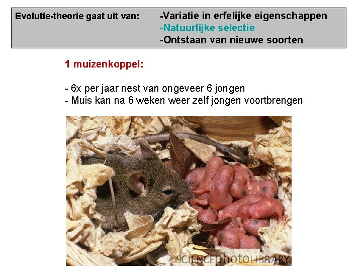 Evolutie-theorie gaat uit van: -Variatie in erfelijke eigenschappen -Natuurlijke selectie -Ontstaan van nieuwe soorten