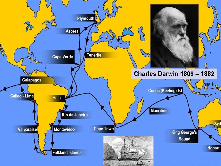 Charles Darwin 1809 – 1882 
