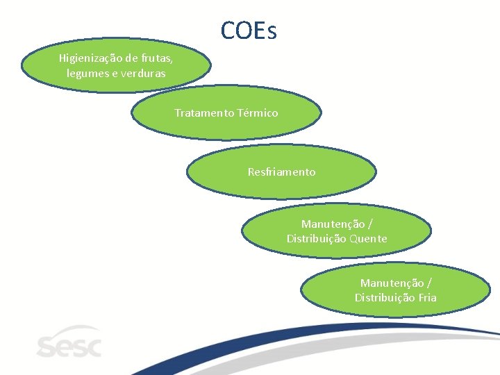 COEs Higienização de frutas, legumes e verduras Tratamento Térmico Resfriamento Manutenção / Distribuição Quente