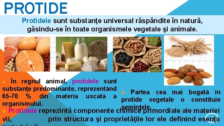 PROTIDE Protidele sunt substanţe universal răspândite în natură, găsindu-se în toate organismele vegetale şi