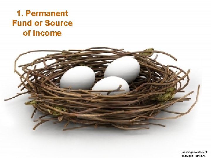 1. Permanent Fund or Source of Income 