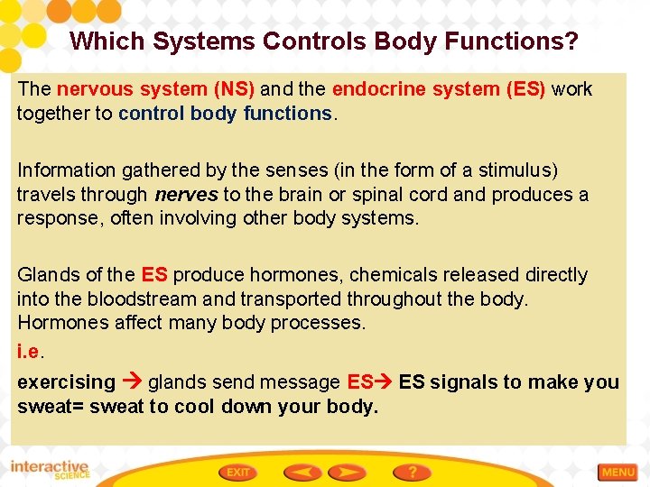 Which Systems Controls Body Functions? The nervous system (NS) and the endocrine system (ES)