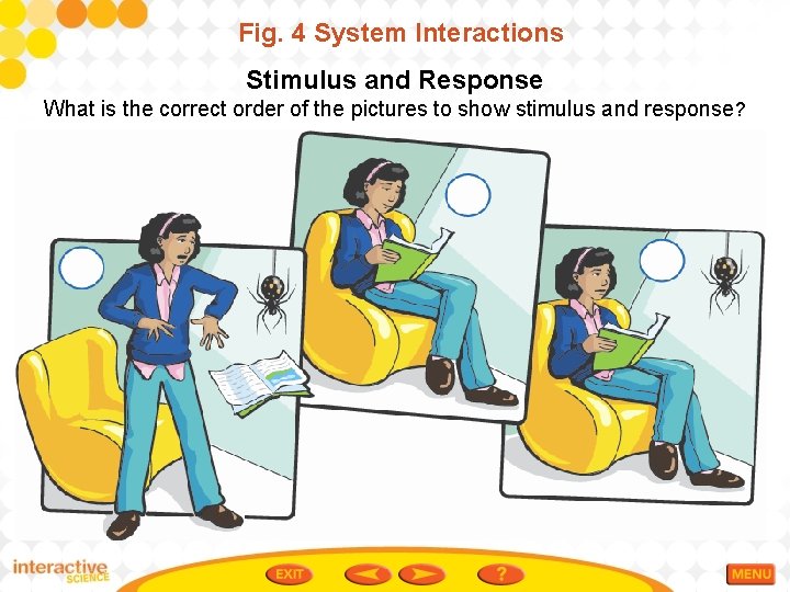 Fig. 4 System Interactions Stimulus and Response What is the correct order of the