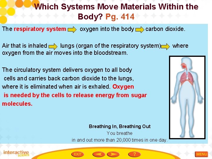 Which Systems Move Materials Within the Body? Pg. 414 The respiratory system oxygen into