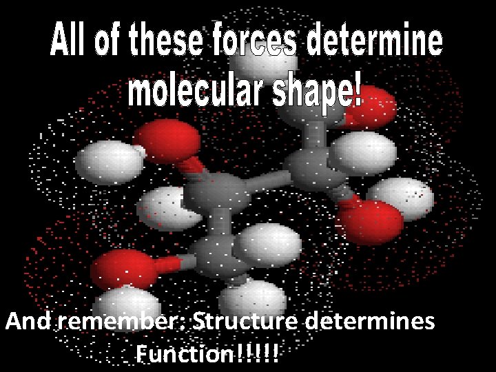 And remember: Structure determines Function!!!!! 